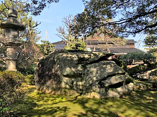 敦賀から持ってきたでっかい庭石