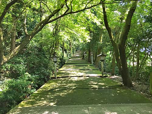 荘厳な緑に包まれた参道