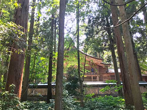 白山比咩神社の本殿