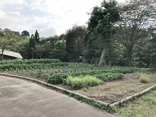 石川県埋蔵文化財センターの体験農園