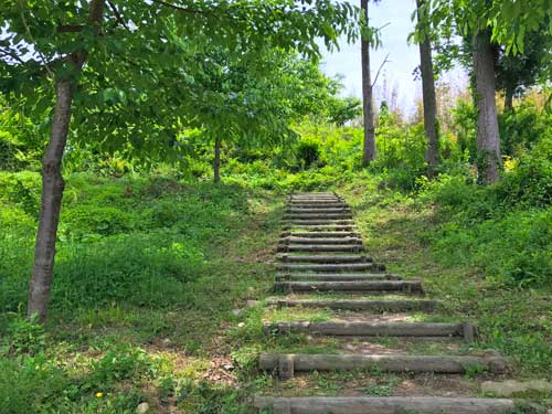 入口の階段通路