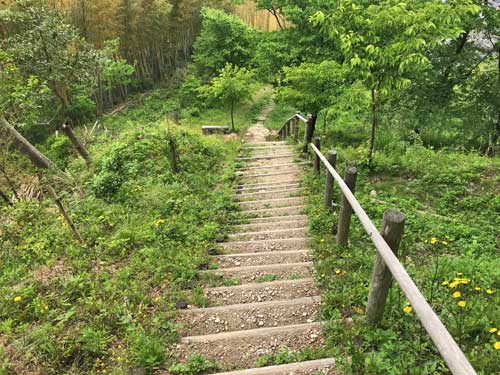 上へと登る階段