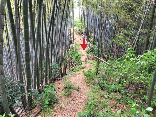 高尾城の堀切