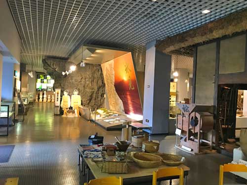氷見市立博物館の展示室