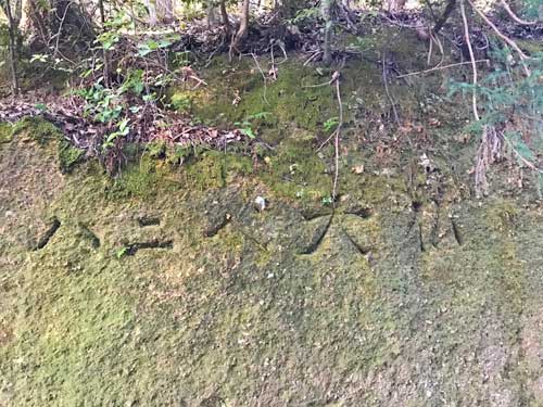 ハニベ巌窟院の裏山