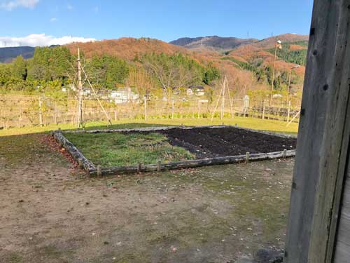 背戸にある畑