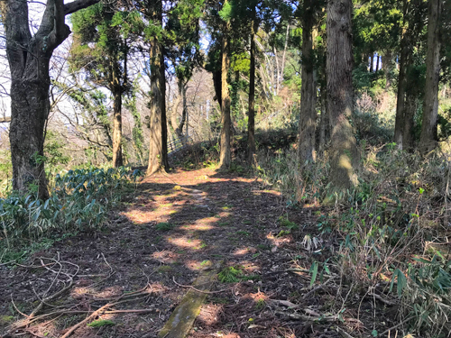 今石動城跡の城内