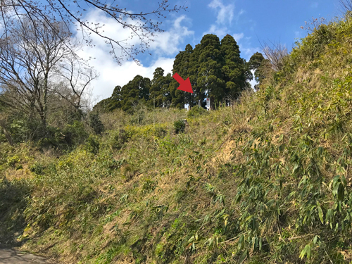 下から見上げた本丸