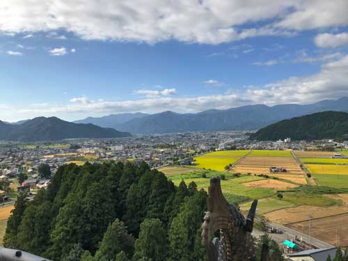 勝山の街並みと田んぼ