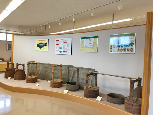 鯉の里資料館の展示