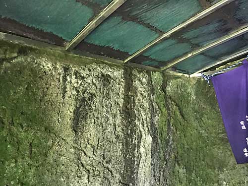 ノミの跡が残る壁