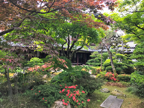 庭から見た芭蕉の館