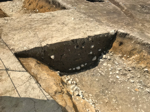 大溝に残された畔