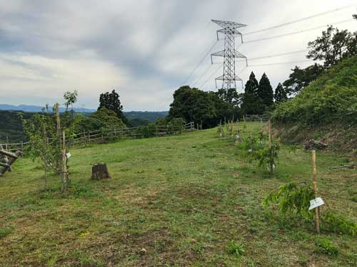 龍ヶ峰城の三郭
