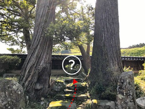 行き止まりの苑路