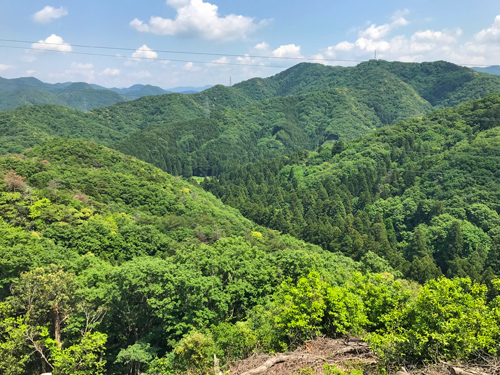 城域端からの眺め