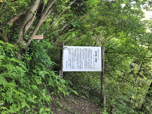 加茂横穴墓群の案内板