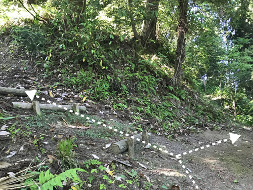 二手に分かれる道