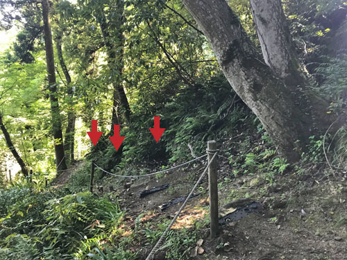 加茂横穴墓群の連続する穴
