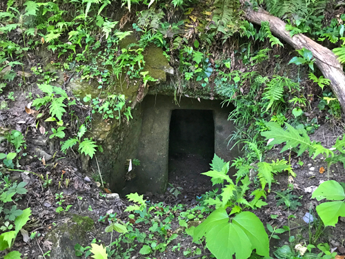 加茂横穴墓群の22号墳