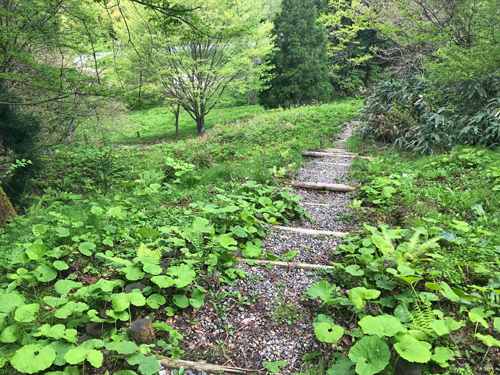 急勾配の通路