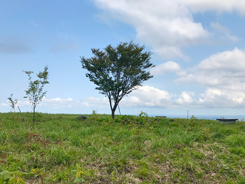荒山城跡の主郭