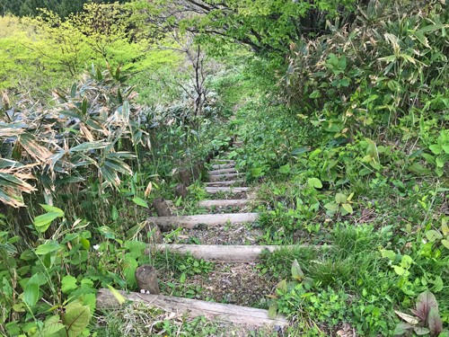 主郭入口の切岸