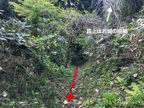 荒山城跡の空堀