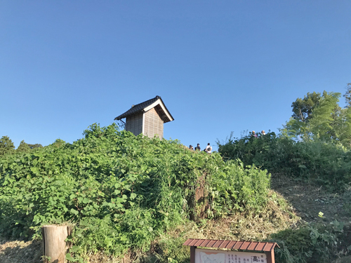 矢田高木森古墳の墳丘