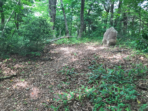曲輪跡
