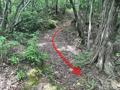 柴田の付城跡の堀切