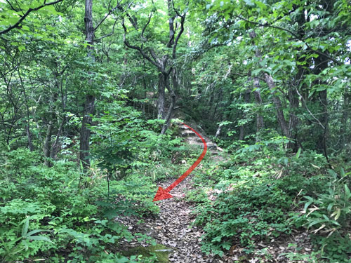 もうひとつの堀切