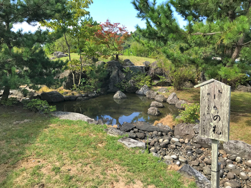 枯れ滝の池