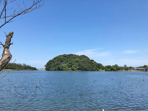 蓮如上人記念館から見える海