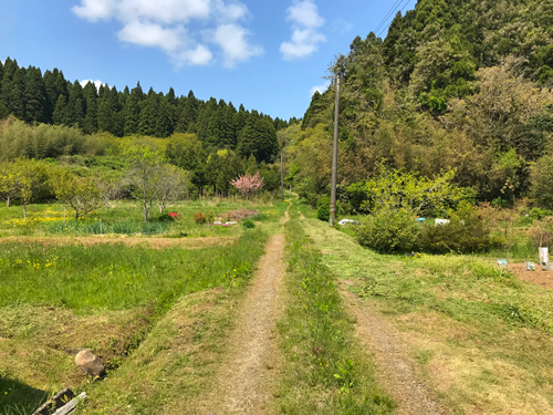 間違った入口