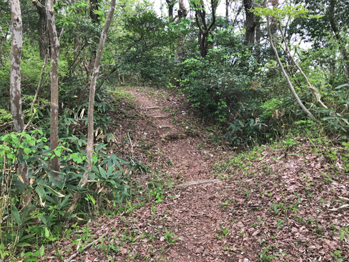 堀切2