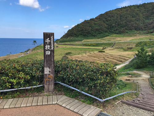 白米千枚田