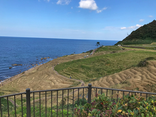 白米千枚田の全景