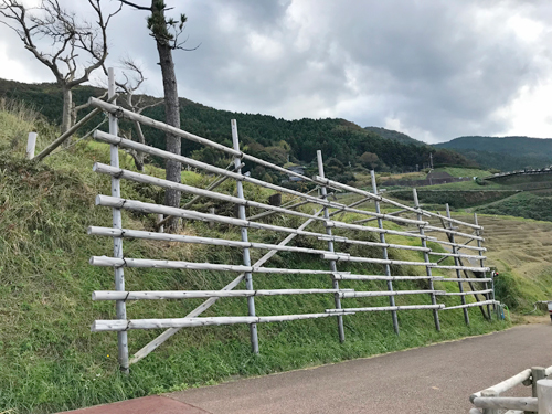 道端のはざ掛け