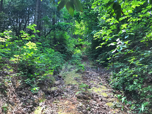 赤岩城跡への通路