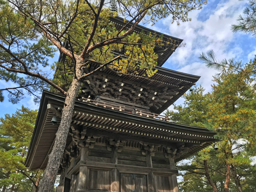 下から見上げた三重塔