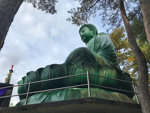 能登長寿大仏　斜め下から