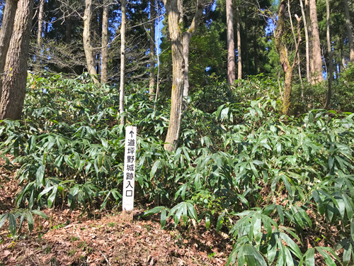 入口のない入口
