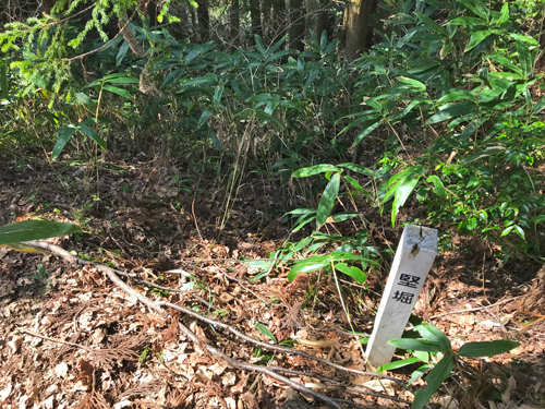 道坪野城跡の竪堀