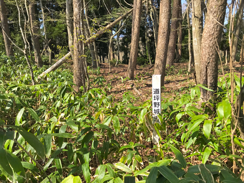 道坪野城跡の本丸