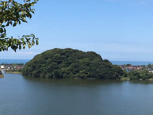 鹿島の森