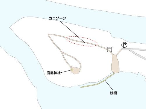 鹿島の森の俯瞰図