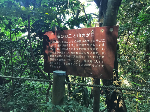 カニの看板