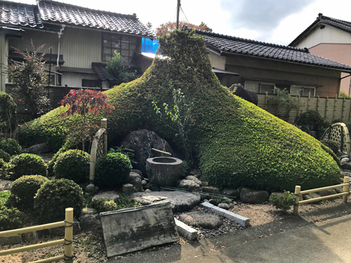 巨大なスライム状の植木