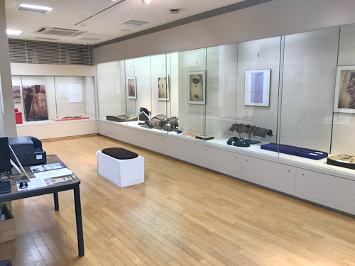 小矢部の古墳の展示